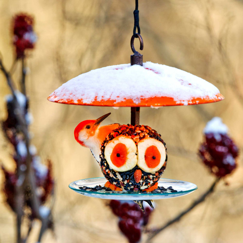 Dareck Hanging Tray Bird Feeder, Orange