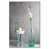 Rose clair est en rupture de stock