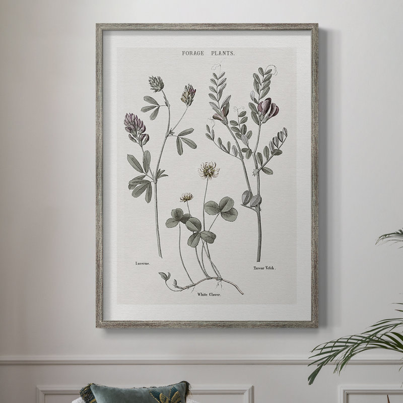 Multi Botanical I, reproduction encadrée - bois massif 48179, H 11 po x l 9 po