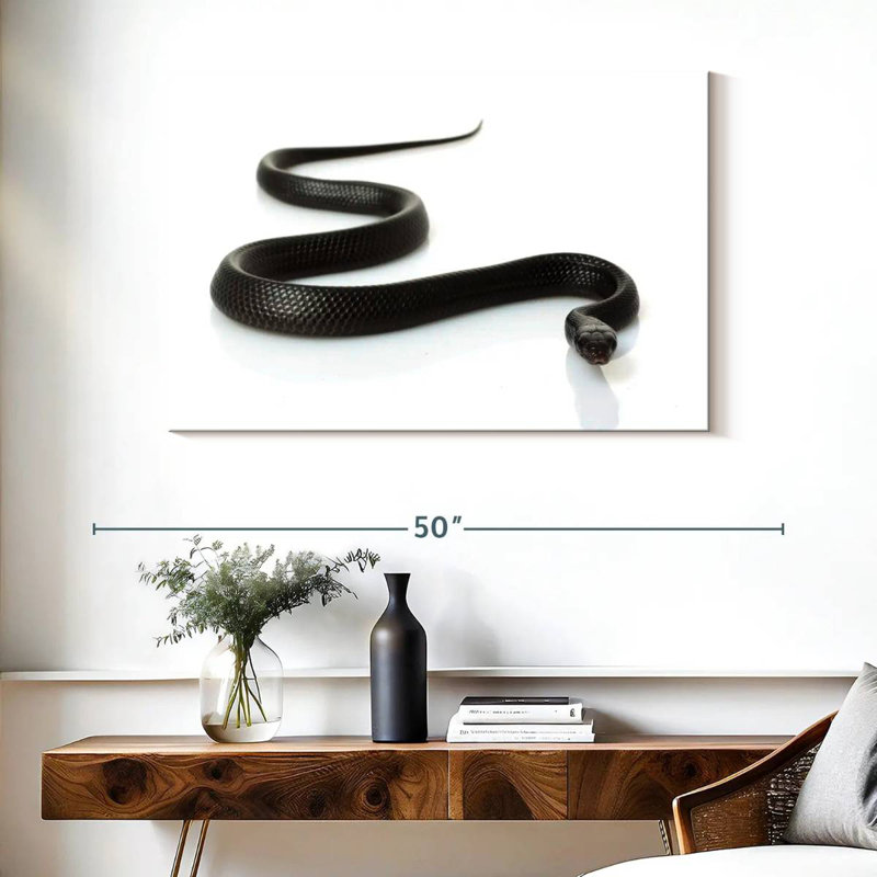 Brampt Eastern Indigo Snake, 26" H x 39" W