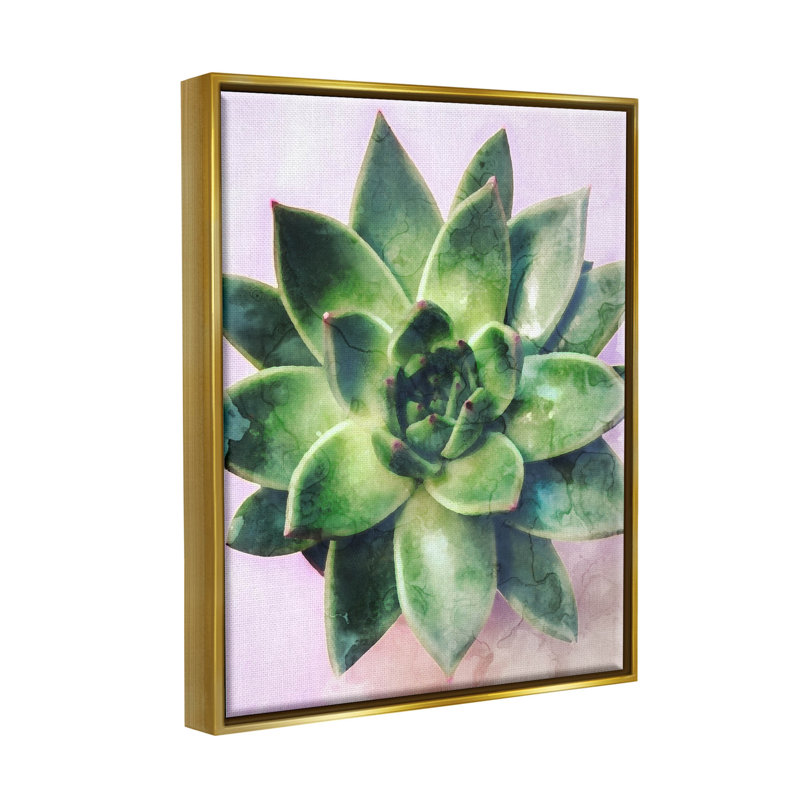 «Round Succulent Plant Leaves» par Daphne Polselli, H 21 po x l 17 po x P 1,7 po, Cadre flottant métallique doré