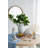 Two Handled Flower Vase-1848039773