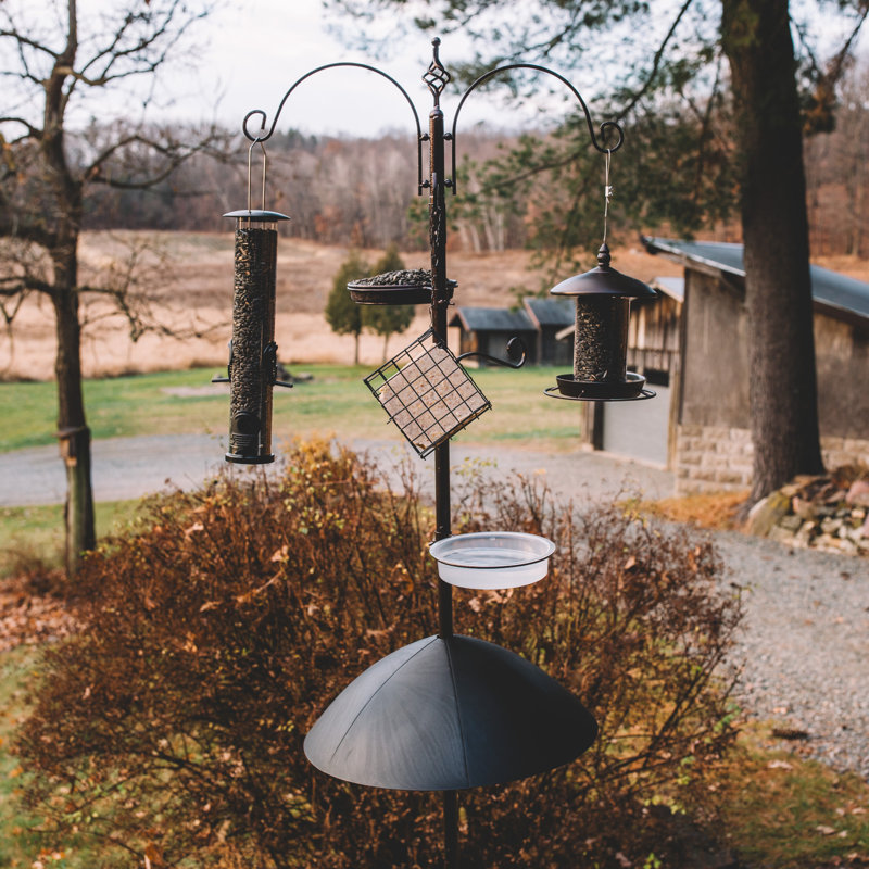 Premium Bird Feeding Station 