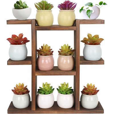 Support de plante en bois pour bureau à l'intérieur