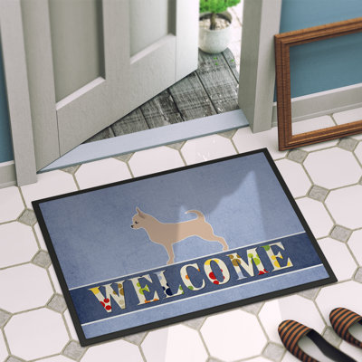 Non-Slip Indoor Doormat