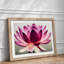 Mesmerising Lotus Flower - Framed Print-493907284-493907306