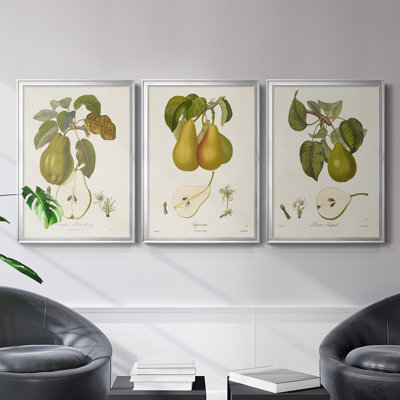 Toile encadrée de qualité supérieure Vintage Pears IV - prête à être accrochée