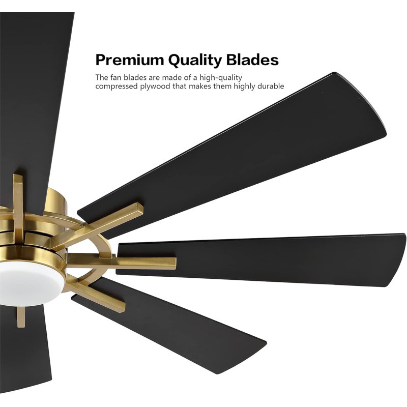 Avgoustinos DC Ceiling Fan with LED Light and Remote, Gold with Black Blades, 60"