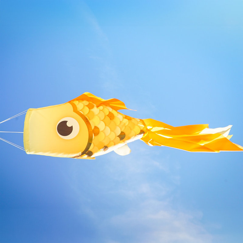 40 "poisson doré demoiselle chatoyant