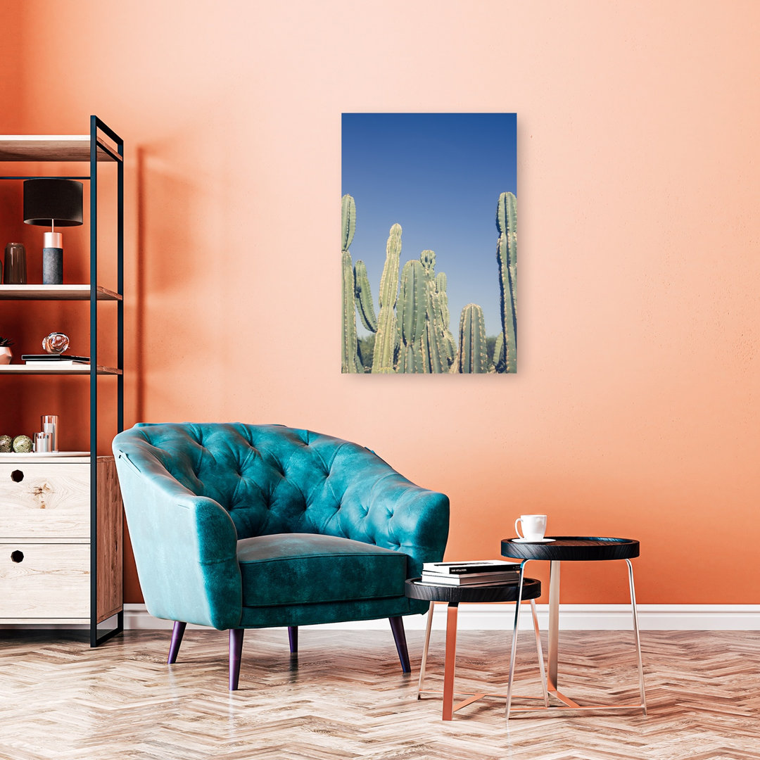 Desert Cacti Blue Sky Abstract Cactus Succulent Landscape Nature Wall Art Print