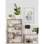 «Blooming Houseplants II», reproduction encadrée-1010606627