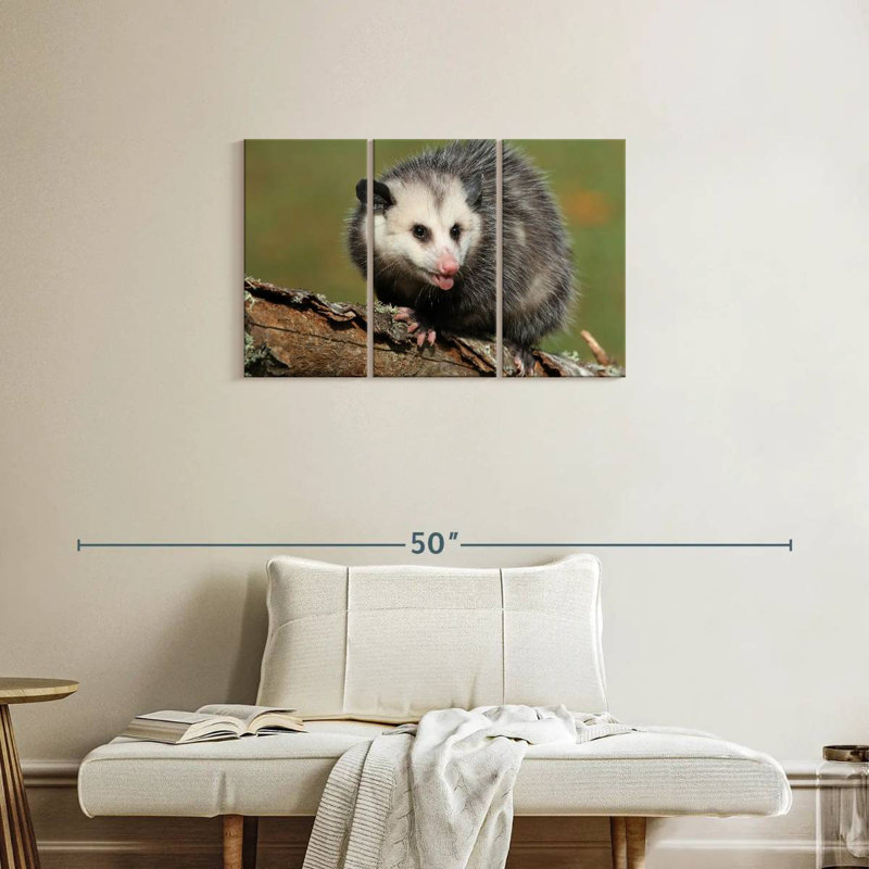 Bramble Angry Opossum, H 20 po x l 33 po
