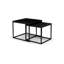 Brosch Frame Coffee Table-782029153
