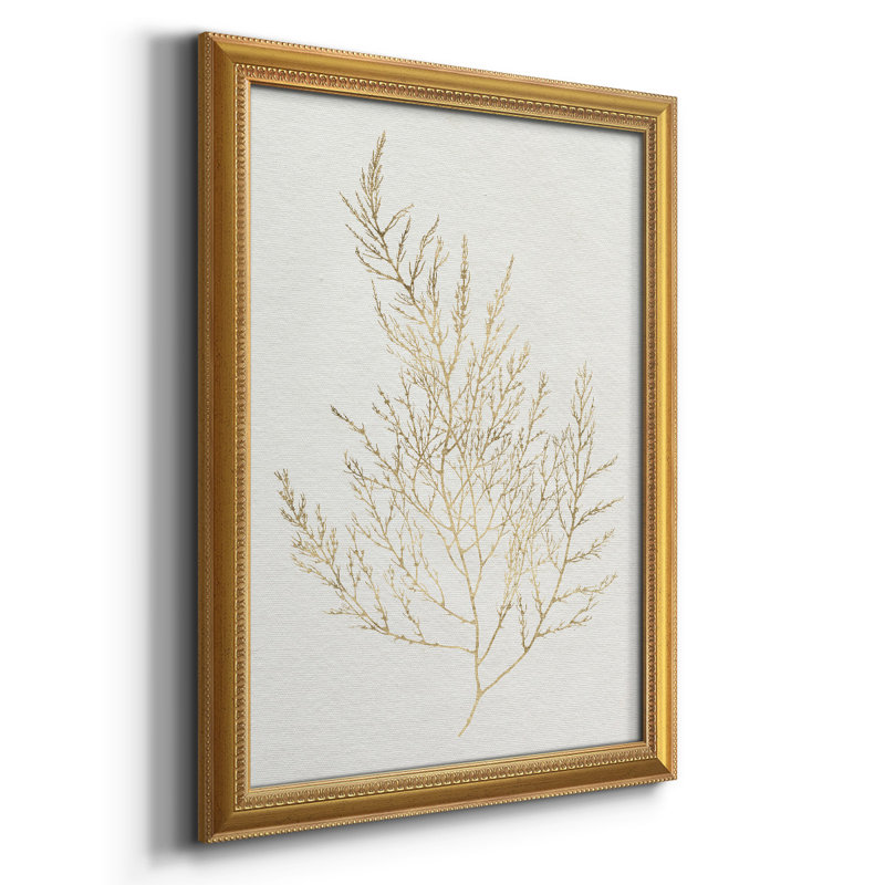 Toile encadrée de qualité supérieure avec algues dorées II - prête à être accrochée, H 20 po x l 16 po x P 2,5 po