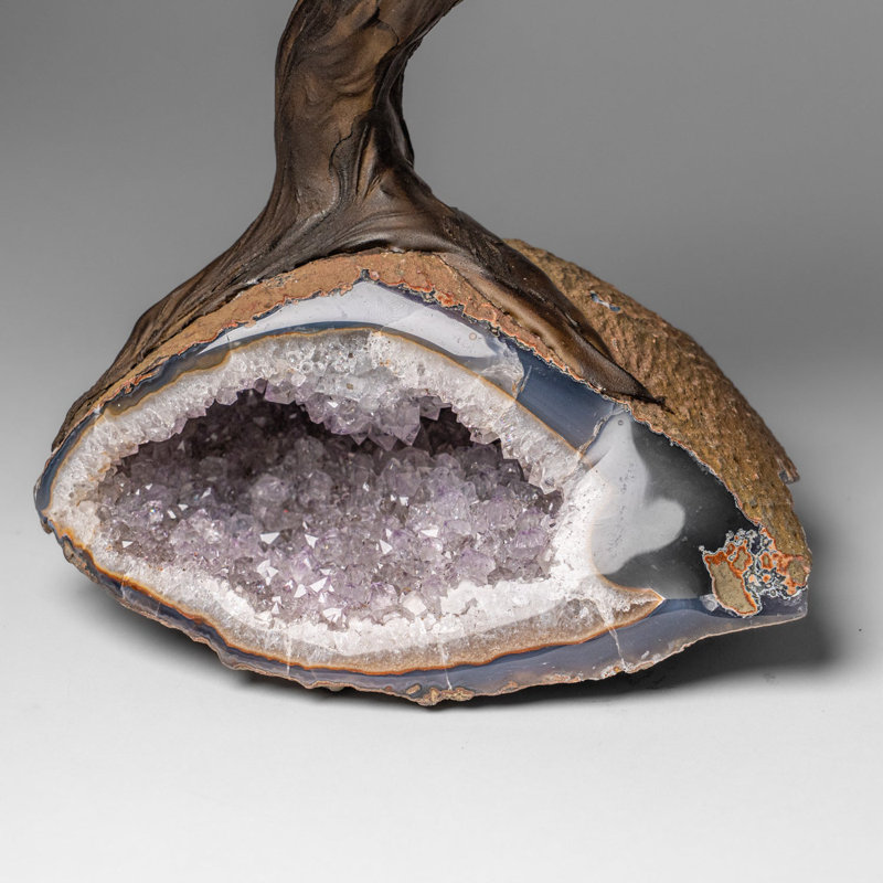 Custom - Genuine Rose Quartz Clustered Gemstone Tree On Amethyst Geode Matrix (The Love Tree)