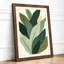 Sage Leaf Study Botanical - Framed Print-153164393-153164396