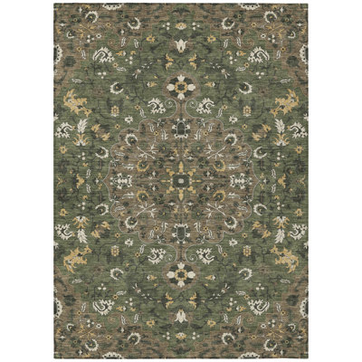 Machine Washable Indoor/Outdoor Chantille ACN2463 Traditional Rug