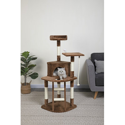 Raul 49'' H Cat Tree