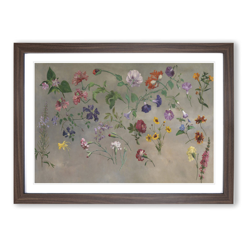 Studies of Flowers Vol.1 by Jacques-Laurent Agasse - Picture Frame Painting, Walnut Framed, 36cm H x 48cm W x 2cm D