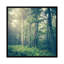 « inner paix » par olivia joy stclaire-impression à photographie-53128548-49905528