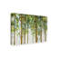 « forest study i crop », reproduction de peinture à l’acrylique sur toile tendue-33413618