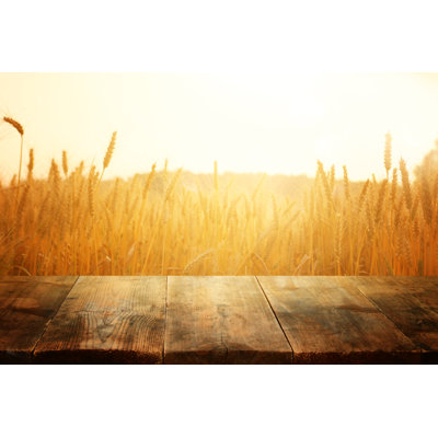 Fields Of Wheat by Tomertu - Wrapped Canvas Print