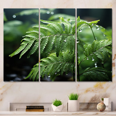 " Ferns Close Up Photo V " 3 - Pieces