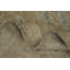 Tapis Oushak 9x12