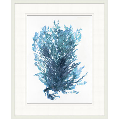 Peinture sur cadre Indigo Seagrass 4 par