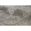 Chantel Floral Area Rug in Gray