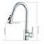 Belfry Kitchen Fitzgibbons Pull Out Kitchen Faucet