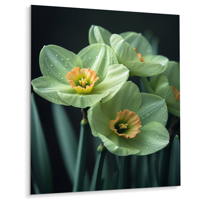 Monochromes jardin glamour jonquilles I - jonquilles murales salon, Sans cadre, métal, H 34 po x l 44 po