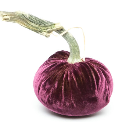 Eggplant Silk Velvet Pumpkin