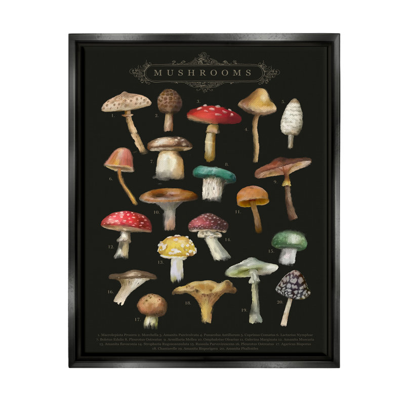 "Dark informative champignon graphique" par Amylee Week, impression, Cadre flottant noir de jais