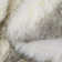 Safavieh Ivory / Smoke Gray Area Rug