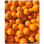 Fruit Photo 4.25'' x 4.25'' Satin Ceramic Decorative Mural