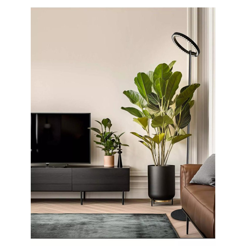 Adjustable Black LED Floor Plant Grow Lamp with Timer