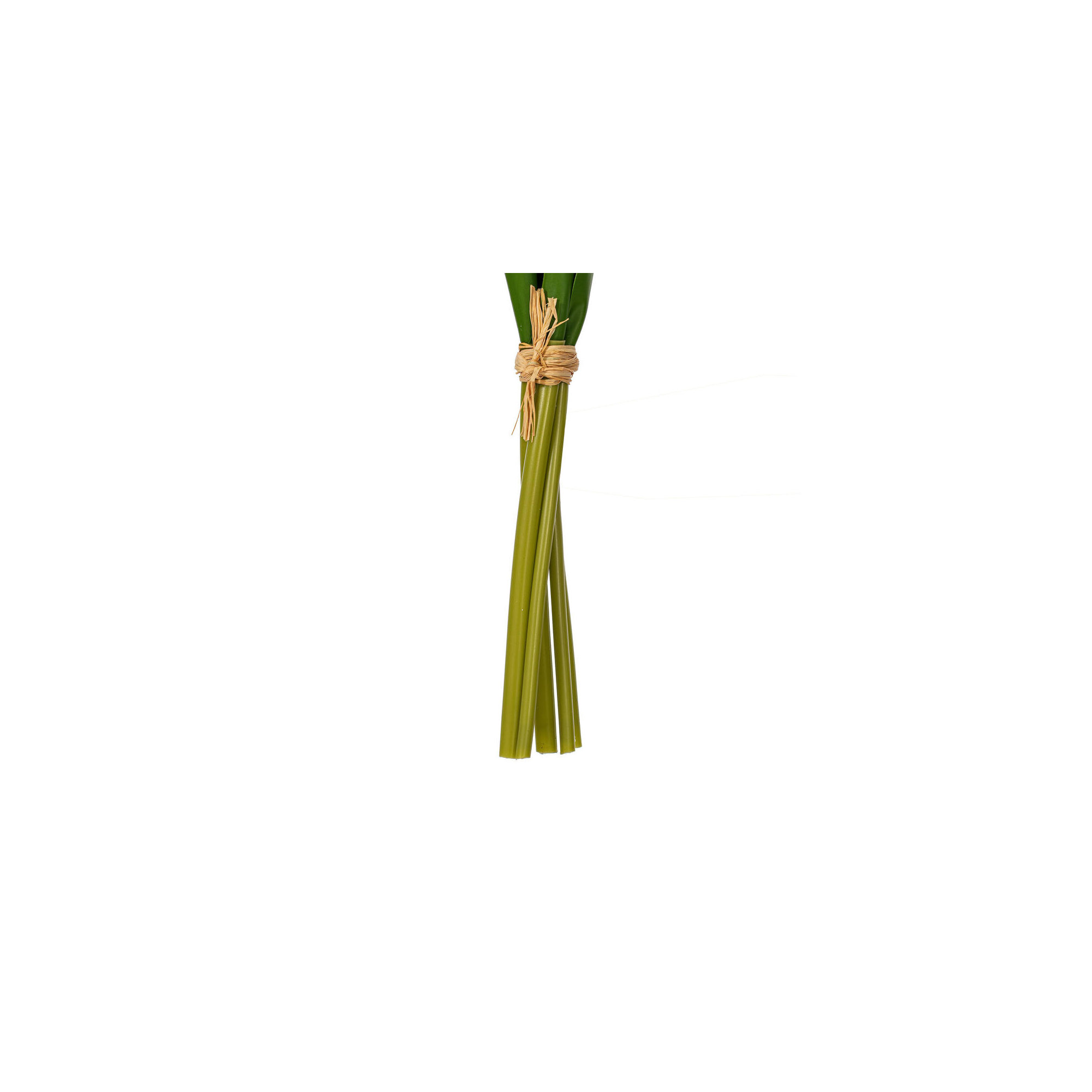 16"H Plum Tulip Bundle of 5., Red