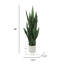 Plante de serpent artificielle Sansevieria en pot-264870797