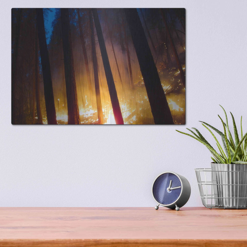 «Burning Forest» par Thomas Haney, H 12 po x l 16 po