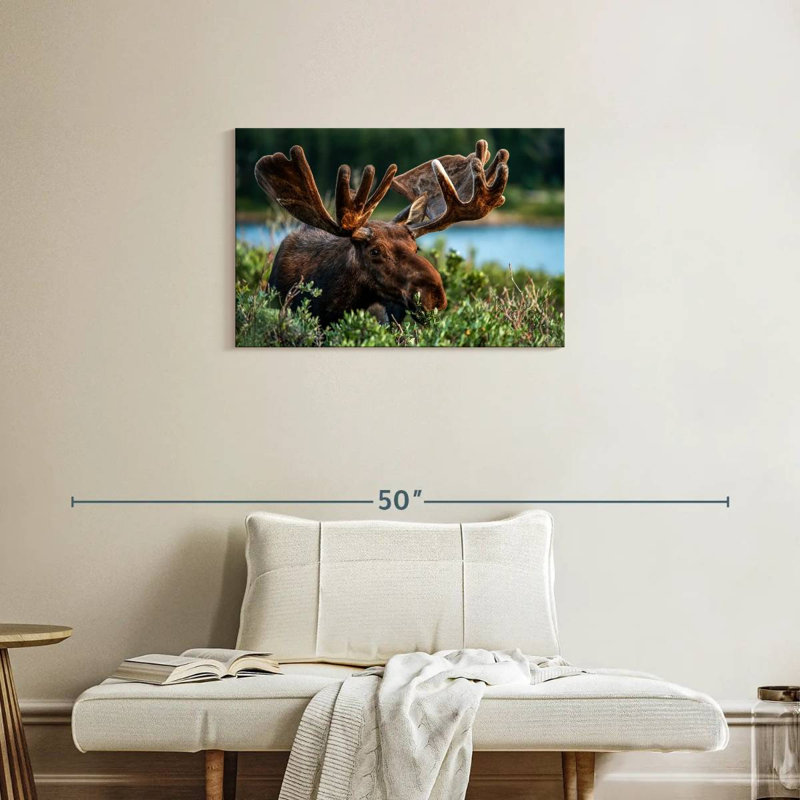Brampt Bull Moose In A Bush, 20" H x 30" W