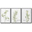 Fresh Sprig Persil, ensemble de 3 pièces encadrées sur toile-97795309-97795308