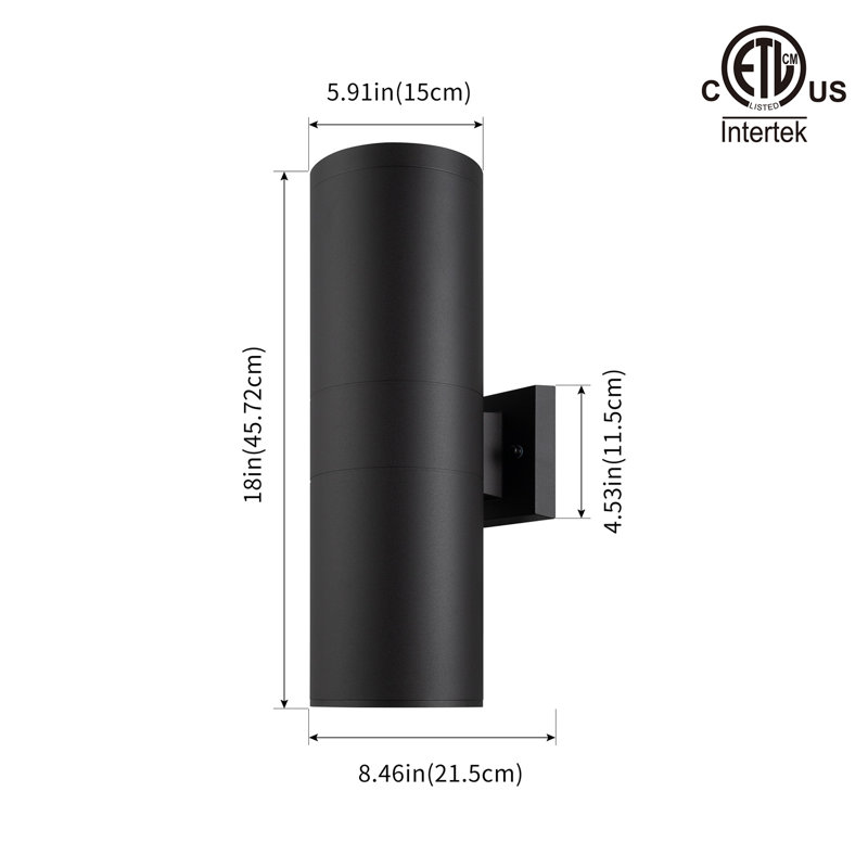 Lanterne murale d'extérieur 2 lumières H 11,97 po Ramage, H 18 po x l 5,91 po x P 8,46 po