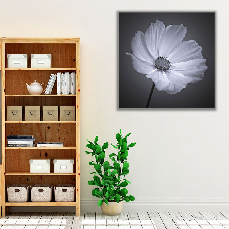 Cosmos Flower 1 - reproduction d'art sur toile, H 12 po x l 12 po