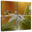 Brume de fleurs Alvord-109033797