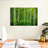 Alvord Bamboo Jungle-111976174