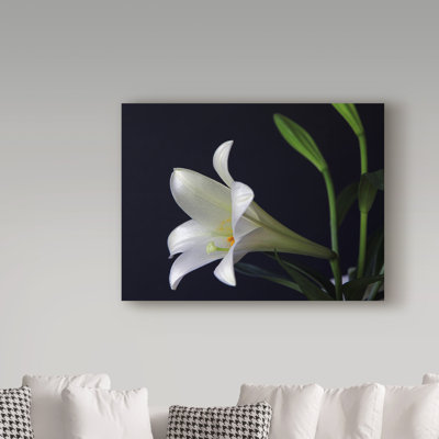 Garv 'Lily 1 White' Photographic Print on Wrapped Canvas