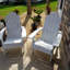 Chaise Adirondack pliante en plastique Mailloux-1497354562