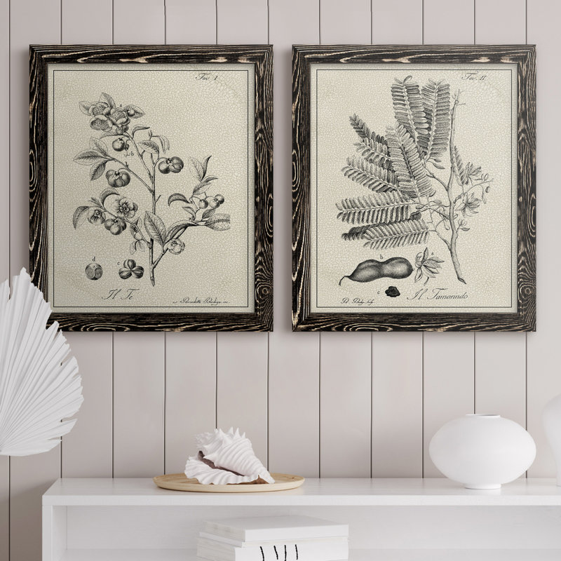 «Antique Black and White Botanical IV», ensemble de 2 reproductions d'art sur toile, H 24 po x l 36 po x P 1,5 po