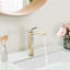 Robinet de salle de bain Topcraft à poignée unique pour lavabo